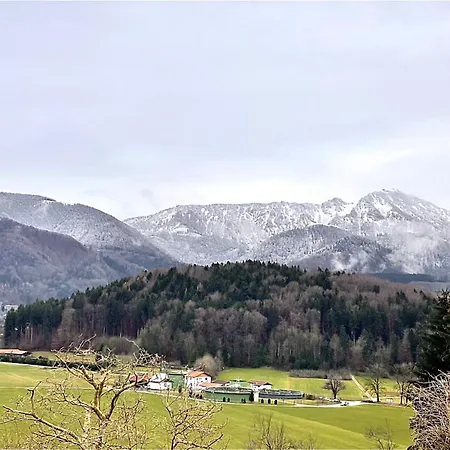 Bergen Panorama * Bergen (Traunstein)